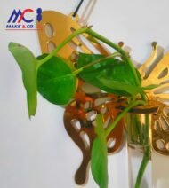 Butterfly Propagation Station House Plant Propagate - Image 5